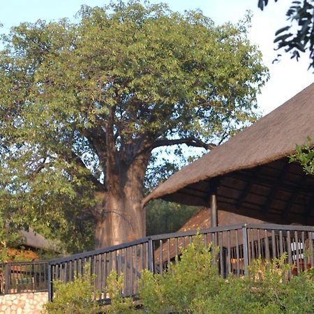 Adansonia Eco Lodge Musina Exteriör bild