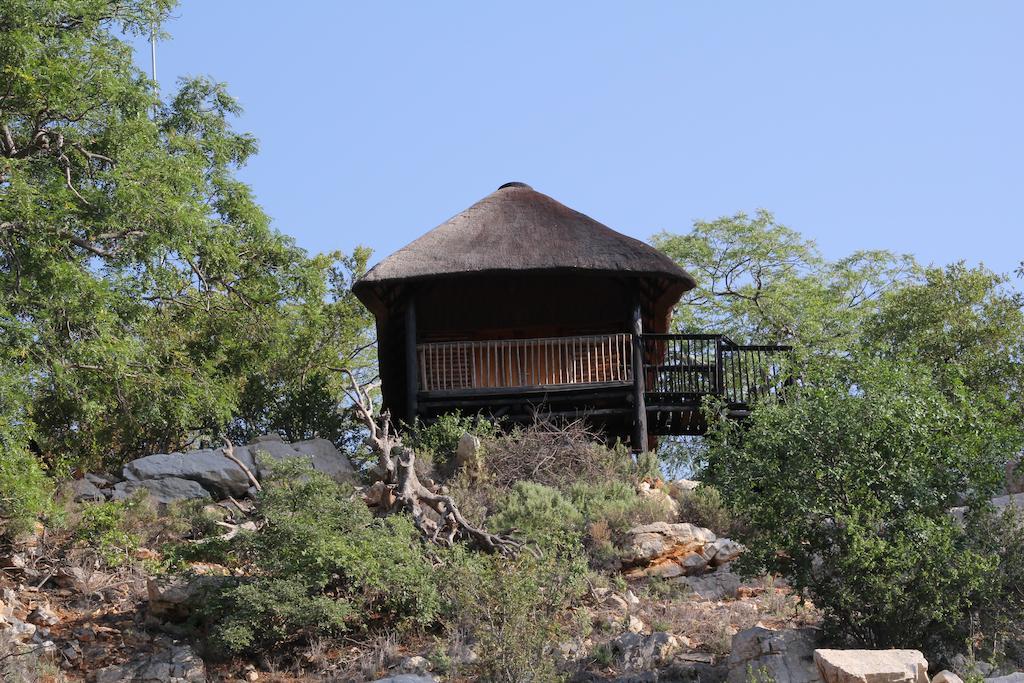 Adansonia Eco Lodge Musina Rum bild