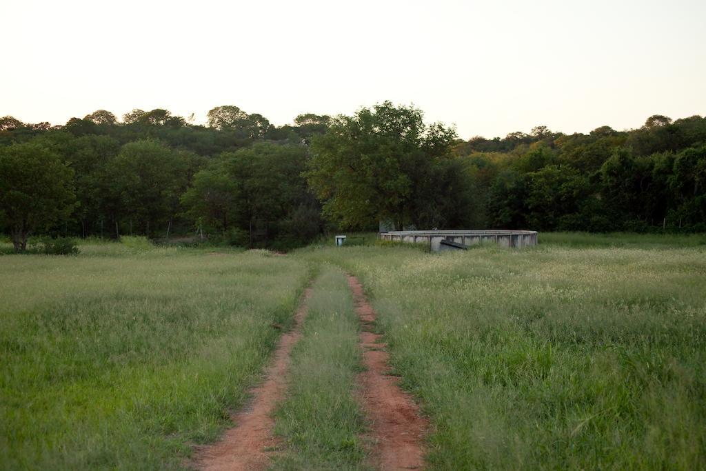 Adansonia Eco Lodge Musina Exteriör bild