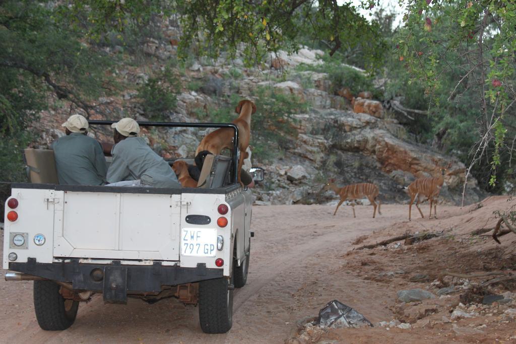 Adansonia Eco Lodge Musina Exteriör bild