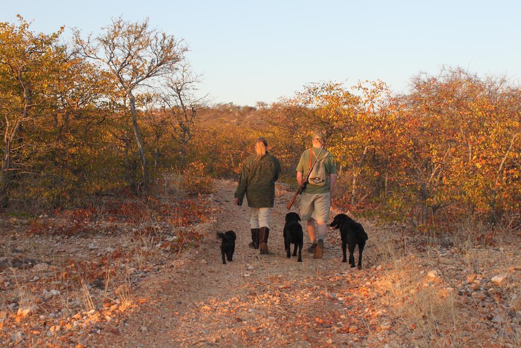 Adansonia Eco Lodge Musina Exteriör bild