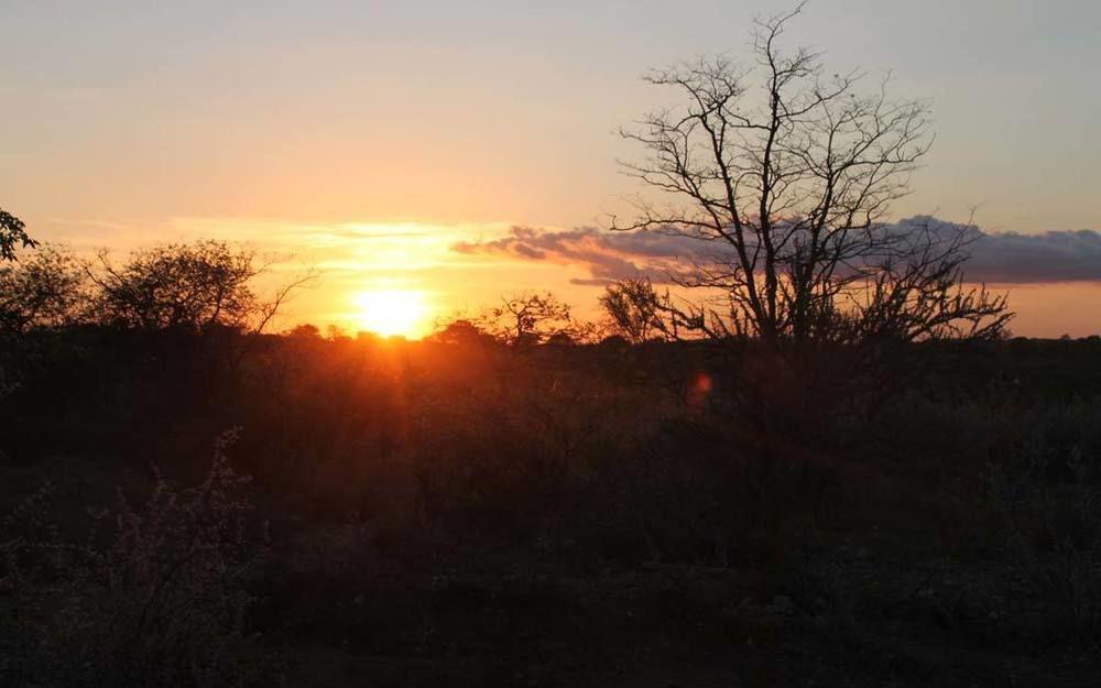 Adansonia Eco Lodge Musina Exteriör bild