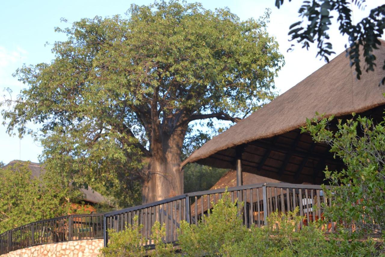 Adansonia Eco Lodge Musina Exteriör bild