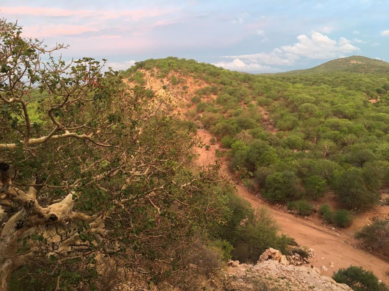 Adansonia Eco Lodge Musina Exteriör bild