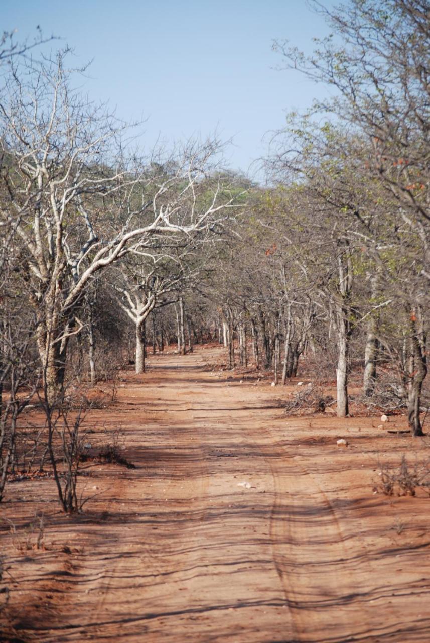 Adansonia Eco Lodge Musina Exteriör bild